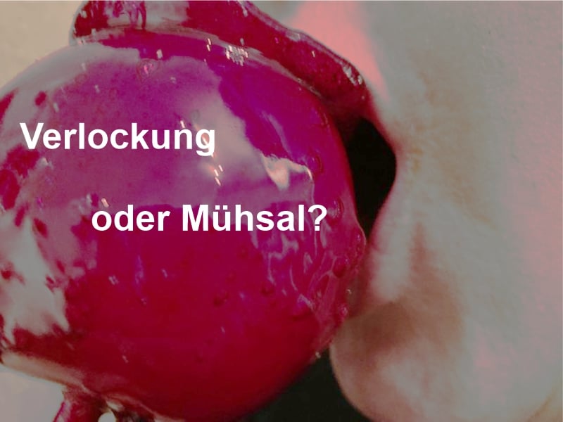 Glasierter Apfel mit Text "Verlockung oder Mühlsahl?"